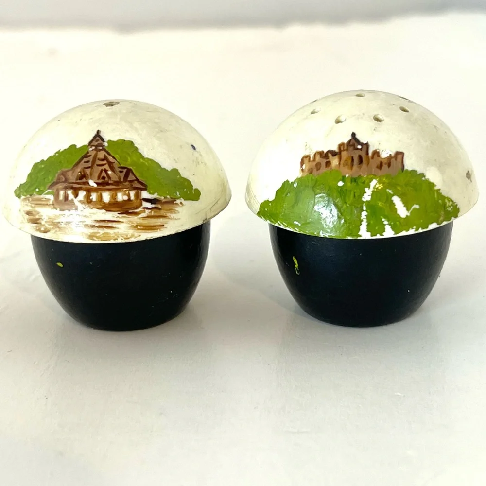 Vintage Salt and Pepper Shakers Mini Mushrooms Plastic Hand Painted Japan